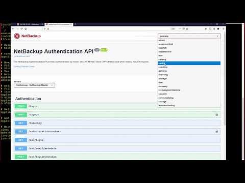 NetBackup APIs and Automation