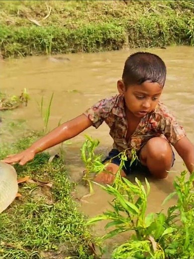 Amazing Boy Catching Fish By Hand #fishing