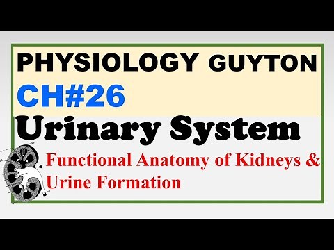 Ch#26 Physiology Guyton | Urinary System: Functional Anatomy & Urine Formation | Renal Physiology