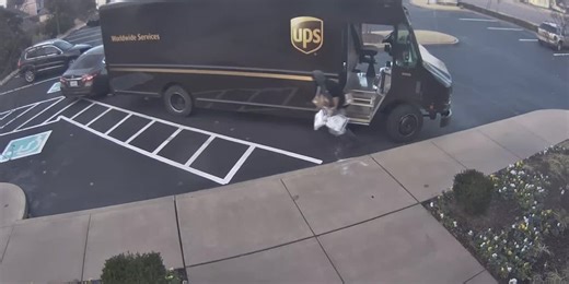 Thieves caught on camera stealing packages from UPS truck during delivery, owner says