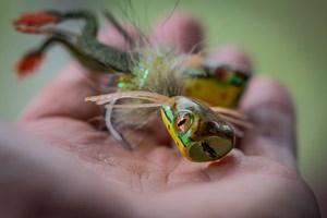 Matching the Hatch with Tadpole and Frog Flies: Fly Fishing and Tying - Flymen Fishing Company