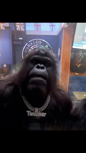 The Oswalds weekend has arrived 🤩🍻 | Oswald’s Bar