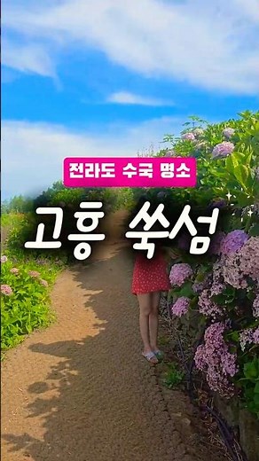 전라도 가볼만한 곳 ! 수국 명소 고흥 "쑥섬🍀" #고흥#고흥여행#고흥쑥섬#고흥애도#고흥수국#수국명소#전라도여행#전라도가볼만한곳#수국축제#수국정원#수국꽃#민간정원#국내여행#섬여행