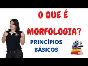 MORFOLOGIA (formação de palavras e classe de palavras)