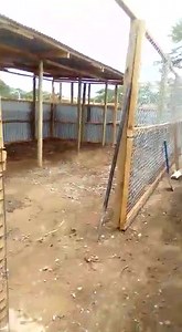 1.3K views · 17 reactions | SHEEP FEEDLOT FACILITY WE CONSTRUCTED IN KAJIADO COUNTY ___________________ Contact us for: 1. Feedlot Consultancy 2. Feedlot Facility Design 3. Feedlot Construction and costing Tel: 0724 512 194 | African Farm Resource Centre | Facebook