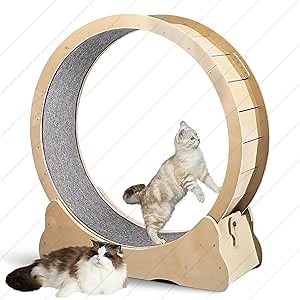 43" Cat Wheel Exerciser for Indoor Cats, Cat Wheel, Cat Exercise Wheel, Cat Treadmill, Ultra-Quiet Cat Running Wheel for Large Cats
