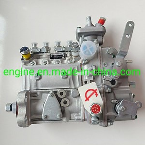 [Hot Item] Original Diesel Engine Fuel Injection Pump 3973845 3973846