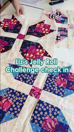 Liz's Jelly Roll Challenge - she's making a Starflower Quilt with Ruby Star Hello Alice