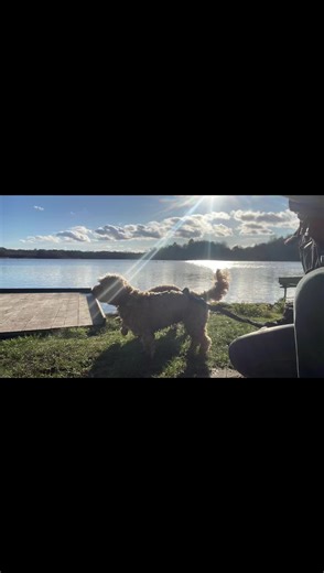 Willowswalkies (@willowswalkiesbybecky)’s videos with Beautiful World - Coldplay