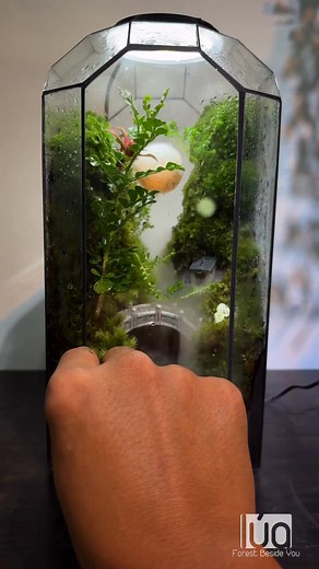 Lúa Design on Reels