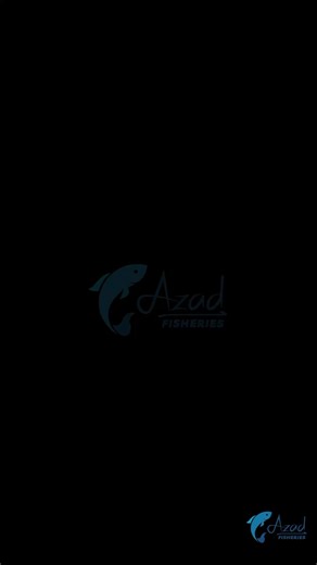 4.6K views · 27 reactions |  Introducing the stunning Red Lizard Catfish – slim, vibrant, and a true algae warrior for your aquarium!  Add a splash of elegance and efficiency to your tank today.#RedLizardCatfish #AquariumFish #AlgaeEater #AquariumLovers #PlantedTank #FishKeeping | Azad Fisheries | Facebook