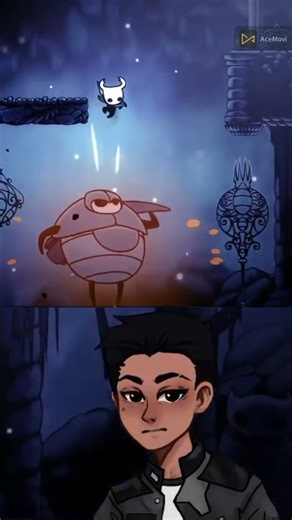 A SUPERIOR PLAYER HOLLOW KNIGHT