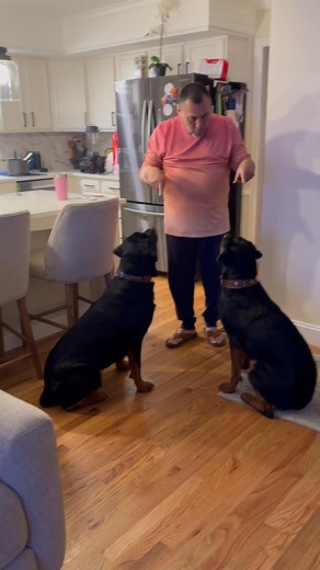 My Hubby enjoying are babies!! Buddy and Roxy!! | Lydia Torres