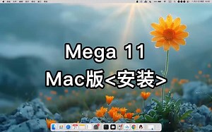 Mega 11 for Mac安装操作详细步骤