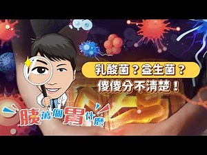 乳酸菌?益生菌?傻傻分不清楚!讓你一次認識益生菌定義有益菌種與功效│達特方的胰萬個胃什麼