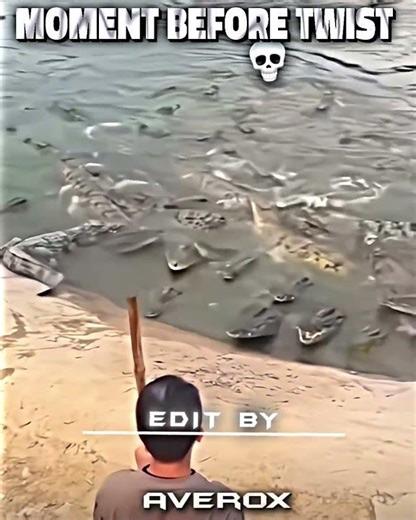 Boy feeding crocodile,but then☠️