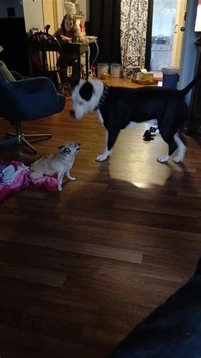 1.1K views · 19 reactions | Johnny Brown on Reels | Facebook