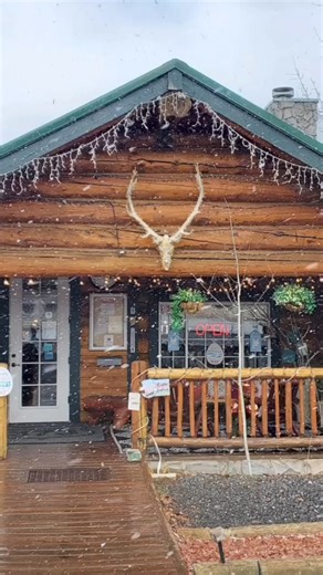 9.5K views · 81 reactions | White morning in Greer! ❄️ This past week has blanketed Greer in fresh snow, perfect for spring skiing adventures or spring breakers seeking crisp mountain air and tranquil mornings. Encounter wildlife and discover Greer, the crown jewel of the Arizona White Mountains. View Cabin Special: https://www.bit.ly/CabinSpecials #greerarizona #azweather | Greer Lodge Resort & Cabins | Facebook