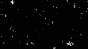 clip-9136004-animated-detailed-snow-flakes-on-transparent-background