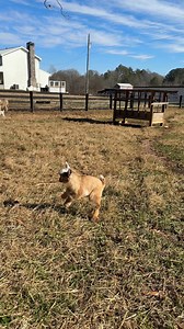 315K views · 12K reactions | Rejection. It’s part of the human...