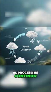 El Ciclo del Agua: ¡Aprende cómo se forman las nubes!