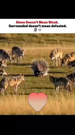 Not Alone #motivation #quotes #StrongerTogether | No Te