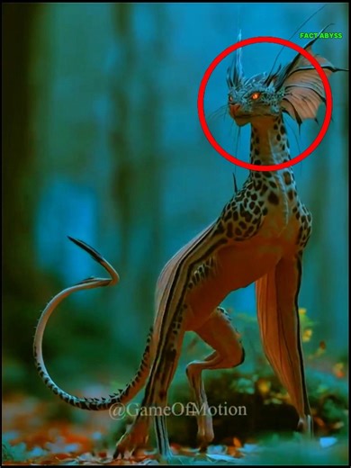 ये जानवर बिना बालों के कैसे दिखाई देते हैं #shortsfeed