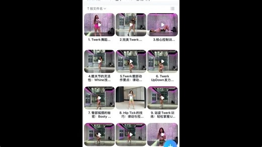 《超高清》便宜出Twerk星球Twerk基础入门＋进阶全套视频教程，电子版资料，网盘秒发 正价课程不想花高价的姐妹来找我 全套13节，内容包括Twe