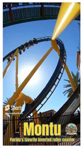 Montu Off-Ride Views at Busch Gardens Tampa