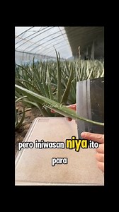 1.3M views · 10K reactions | Tama yung Ginawa nung Driver #viralreels #fbreels #reelsfb #reels #fb #StarsEverywhere #viral #viralvideo #reelsviral #video #tutorial #tips #fypシ゚viralシ #fypシ゚ | Ricardo Orencio | Facebook