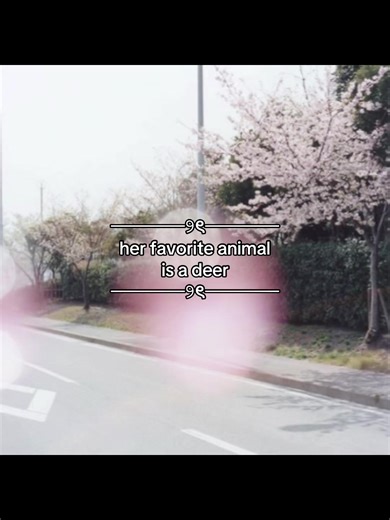 favorite animal aesthetic pt. 2!! their aesthetic is seriously adorable haha #cute #kpop #fypシ #moots? #makeup