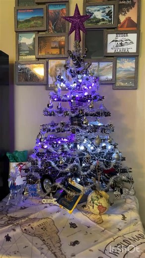 In the first (that I know of) of its kind, here is the final stage of the used motorcycle chain moto Christmas tree! 🏍️🎄 It was amazing practicing welding on this project, though the lights were a PITA. It weighs a solid 40-50lbs too! Anyway, what do y’all think? And for 100% joking, what do you think it’s worth? AJ was making jokes about insuring it for 12k since it’s one of a kind, used 7 chains, pieces of a washing machine, and a solid week of work. 🤣🤣 | Zee Traveler