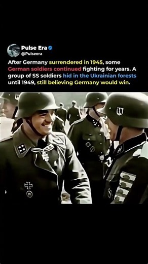 German Soldiers Hid in Forests Until 1949 | WWII's Last Holdouts #shorts
