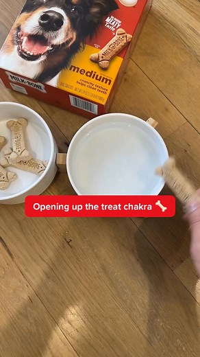Promote a balanced flow of energy to your pet with Milk-Bone treats. Tail wags guaranteed. | Milk-Bone