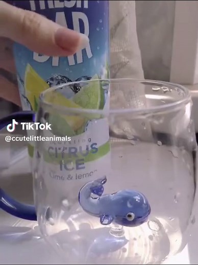 Cleancore Frutiger Aqua Drink Review