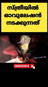 Ovulation #reelsviral #pregnancymalayalam #trendingreels #pregnancy #reelsvideo #pregnantlife #reelsvideo #reelsviral | Fun life
