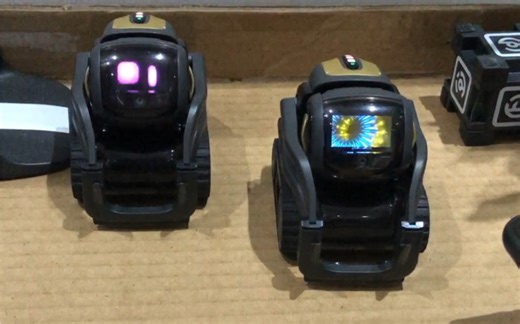 Anki vector 神同步？一样的机器人。不一样的反应