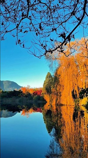 月亮湖的秋天｜Autumn at Moon Lake