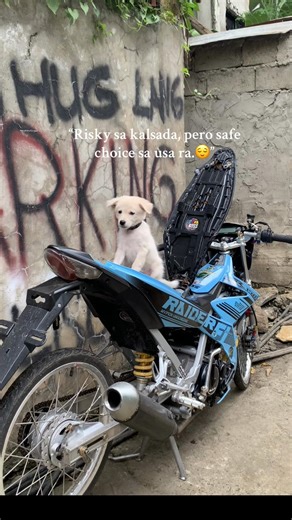 Marc Louie Jayme Espinosa (@marc.louie.jayme)’s videos with original sound - toshi