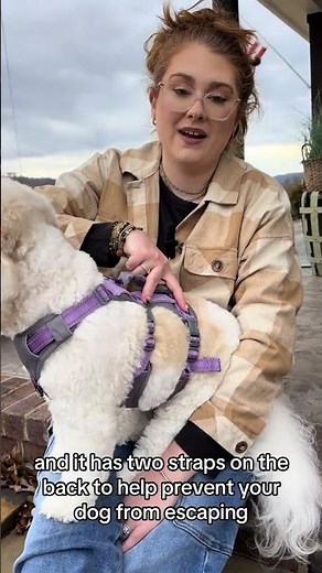 Ultimate Escape-Proof Dog Harness Review: Keep Your Pup Secure #DogHarness #PetSafety