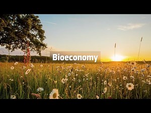 EU Bioeconomy Monitoring System: tracking progress towards a sustainable bioeconomy