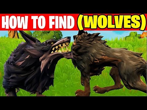 Where to Find wolves in fortnite Chapter 3 Season 4 - Best Spot For Wolves locations in fortnite