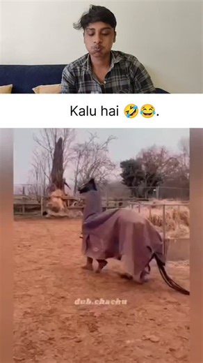 Rahul comedy on Instagram: "Kalu hai 🤣😂 #funnyanimal #cuteanimals #Rahulcomedy #rahulmaithilistar"