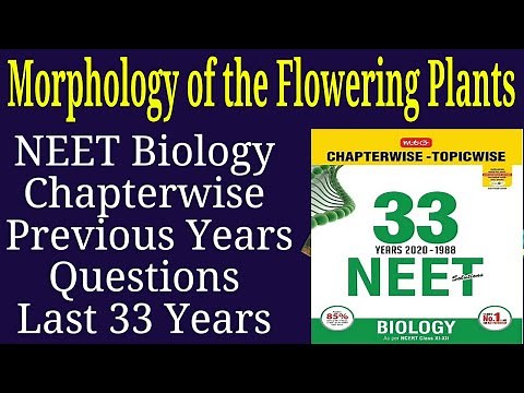 Morphology of flowering plants class 11 neet previous year questions