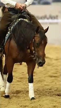 Neck reining is something you’re constantly chipping away at #applythemethod