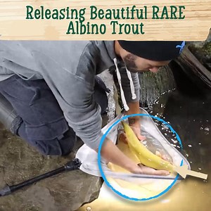 348K views · 3.7K reactions | First Time Seeing Not One But TWO Albino Trout | Blake's Exotic Animal Ranch | Facebook