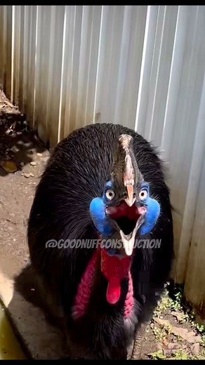 95K views · 2K reactions | METHew and his fails….. #construction #constructionfails #fails #funny | GoodNuff Construction | Facebook