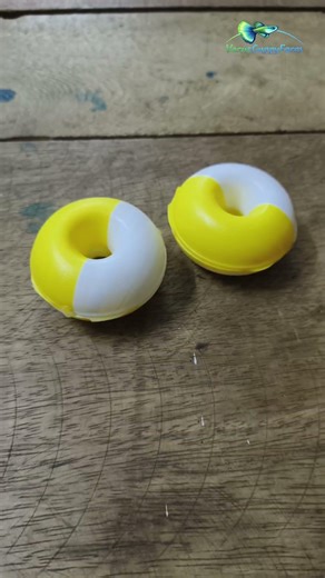 Guppy Breeding Cage Setup 100% Successful Guppy Breeding Method#guppy#guppybreeding#shorts#trending