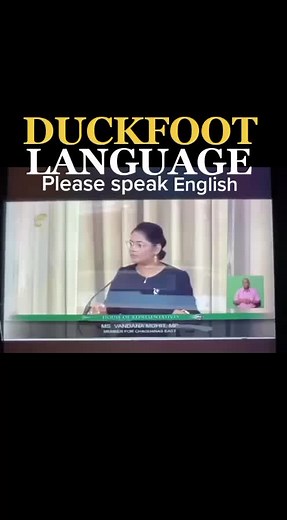 Duckfoot you are in the Parliament of Trinidad of Tobago and not by your friend in Enterprise. Please speak English #englishteacher