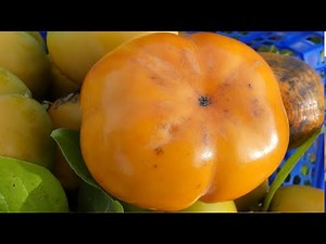 52# Kakis immangeables : comment ôter FACILEMENT l'astringence ?